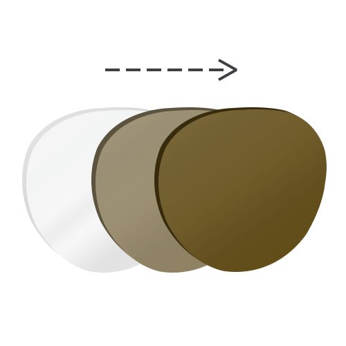 Donahugh-LensAdvizor-Basic Lens