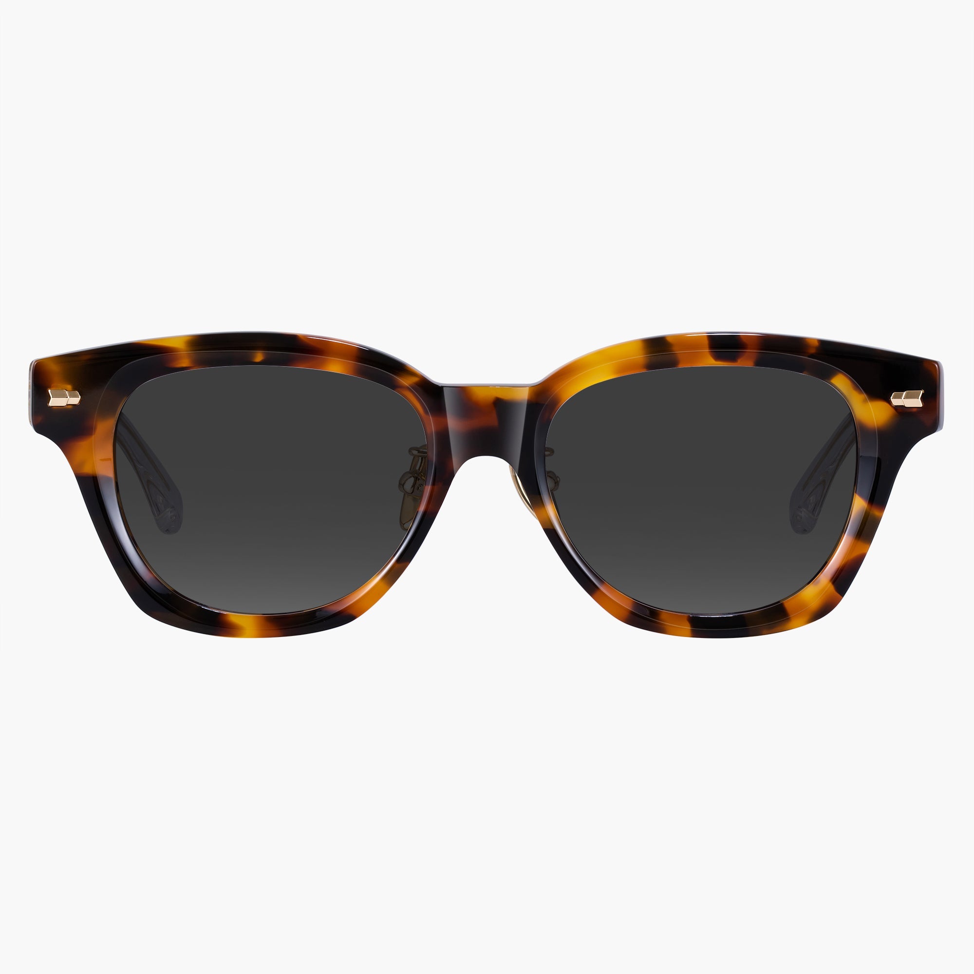 Donahugh-sunglasses-tortoise